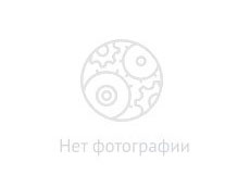 6710530058 Колпачок маслосъемный SSANGYONG Actyon | SSANGYONG Actyon NEW | SSANGYONG Actyon Sport | SSANGYONG Kyron | SSANGYONG Rexton 